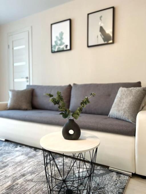 New Modern Apartments In The City Center ナルヴァ エクステリア 写真